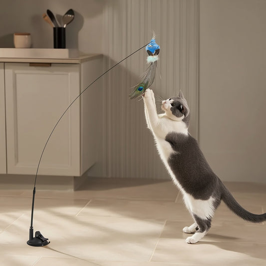 Interactive Cat Toy Bird Teaser with Suction Cup