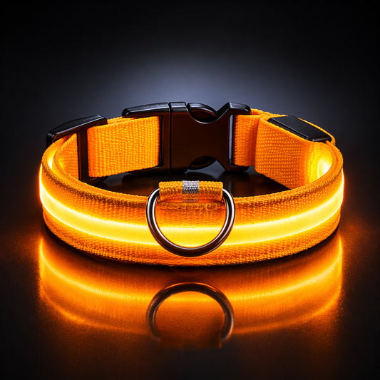 Night safety dog collar with LED lights