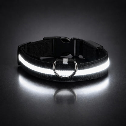 LED dog collar for night safety