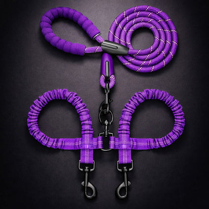 Double leash for smooth dog walking