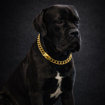 Dog chain collar metal gold silver design
