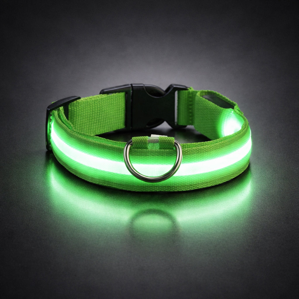 Glowing dog collar for night walking