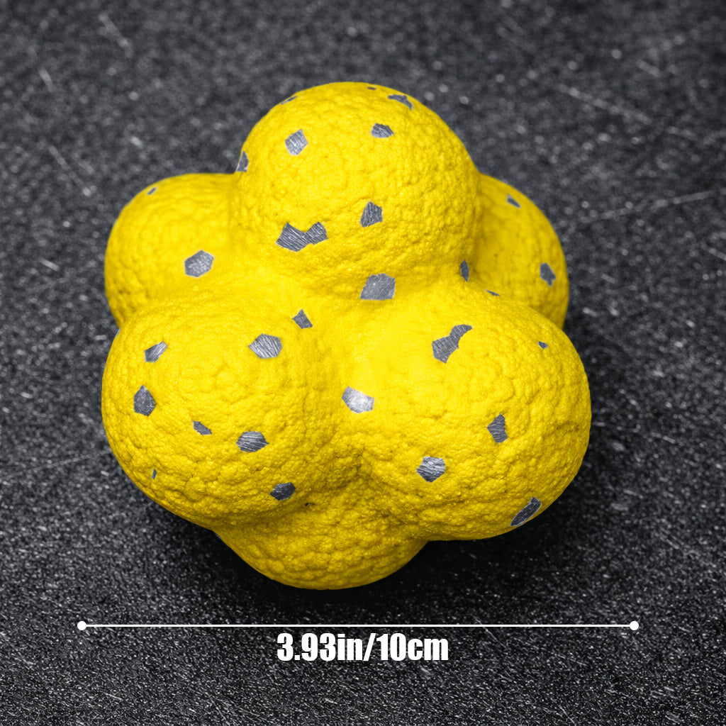 Dog chasing bouncing ball toy outdoor