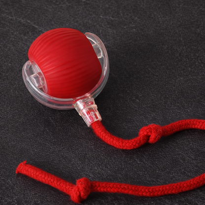 Dog biting moving tail ball toy