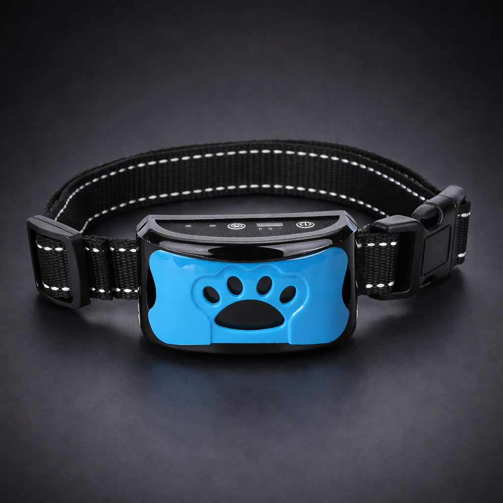 Dog wearing anti bark training collar