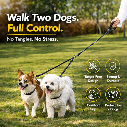 Double dog leash with 360 swivel system