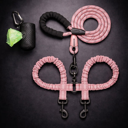 Walking two pets with dual leash system