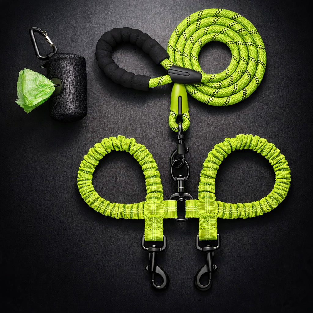 Dual leash for active dogs outdoor