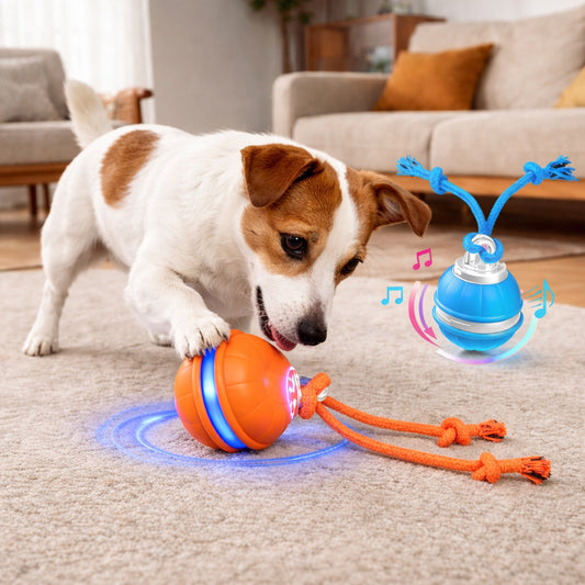 Durable rope dog toy ball for tug and chew