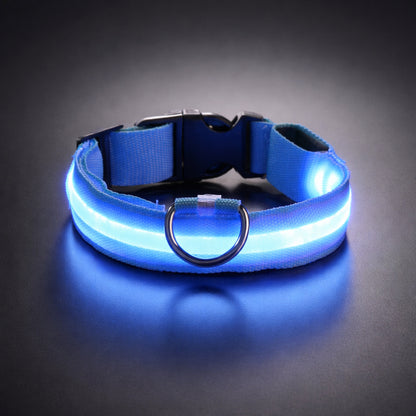 Bright LED dog collar outdoor use