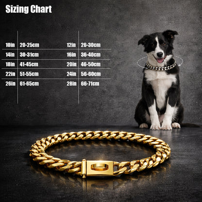 Durable chain dog collar for training