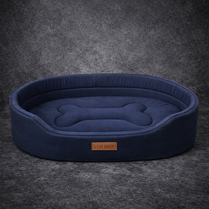 Dog resting on supportive dog bed