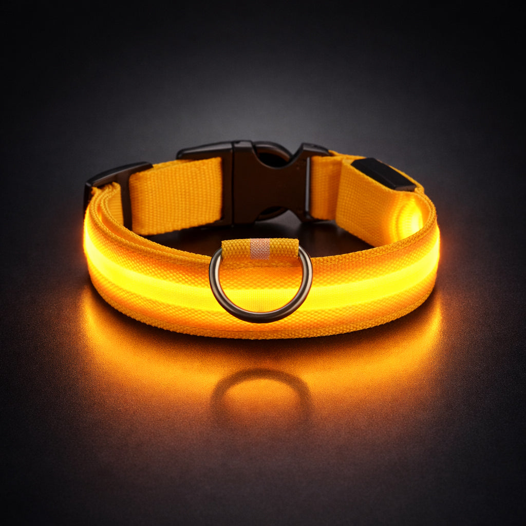 Rechargeable dog collar with LED light