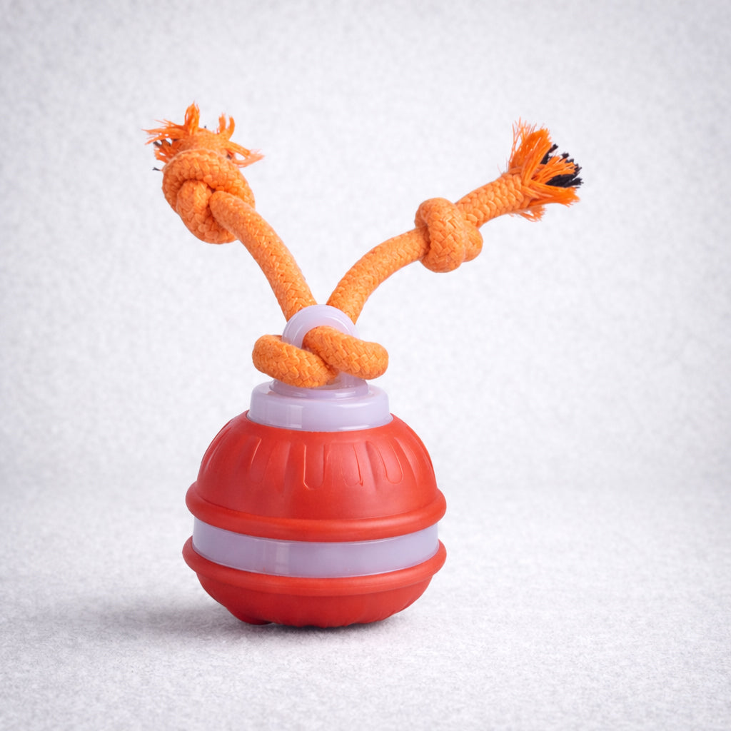 Smart moving dog toy for active pets
