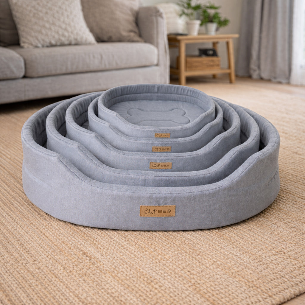 Memory foam dog bed for comfort