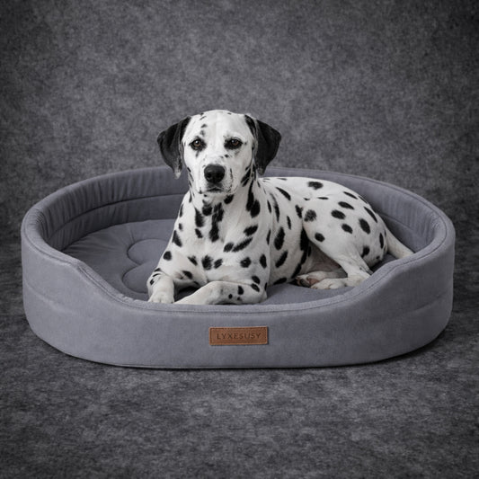 Orthopedic dog bed for joint support